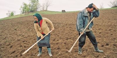 Termen limită pentru fermierii care solicită sprijinul pe suprafaţă