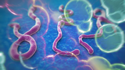 EBOLA…la un pas de a fi oprită!