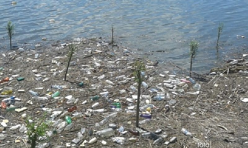 [FOTO] Poluarea pe Dunăre la cote alarmante