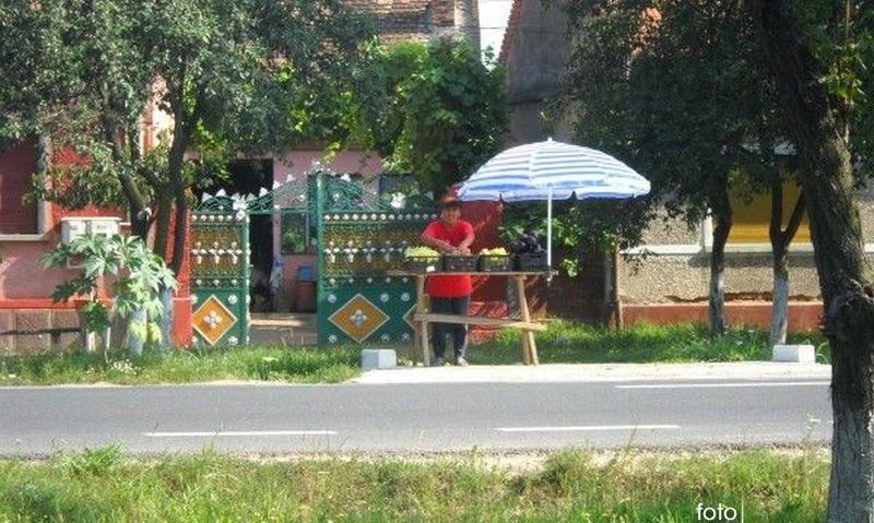 Centru pentru preluarea, ambalarea şi conservarea de legume-fructe, la Lugoj