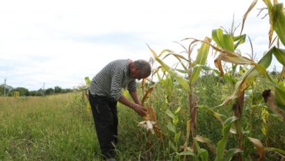 Comisie mixtă de evaluare a pagubelor în agricultură