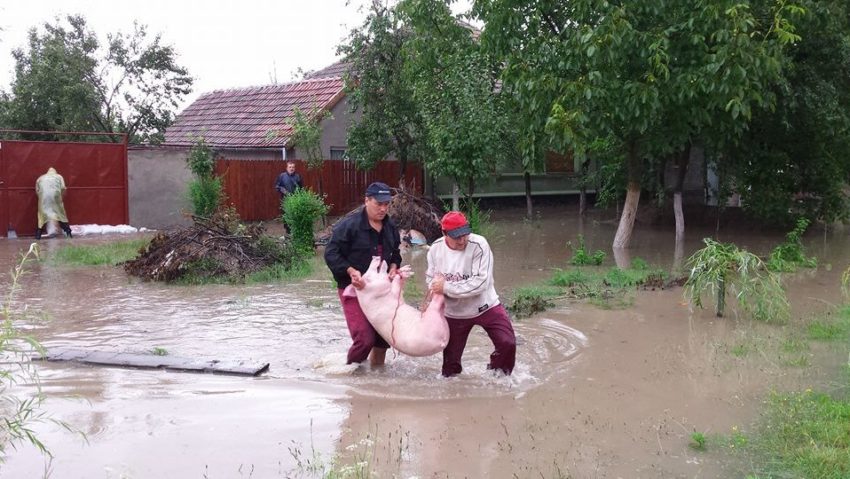 Pericol de inundații în Gătaia!