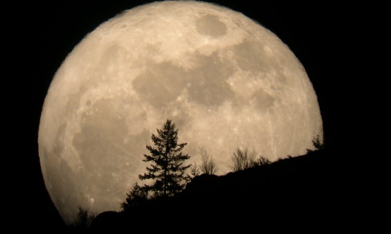 SUPER LUNA 2014, fenomenul astronomic a fost vizibil noaptea trecută