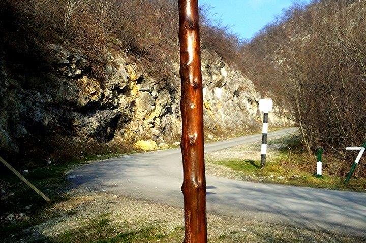 Parcurile naţionale cărăşene în vizorul rangerilor