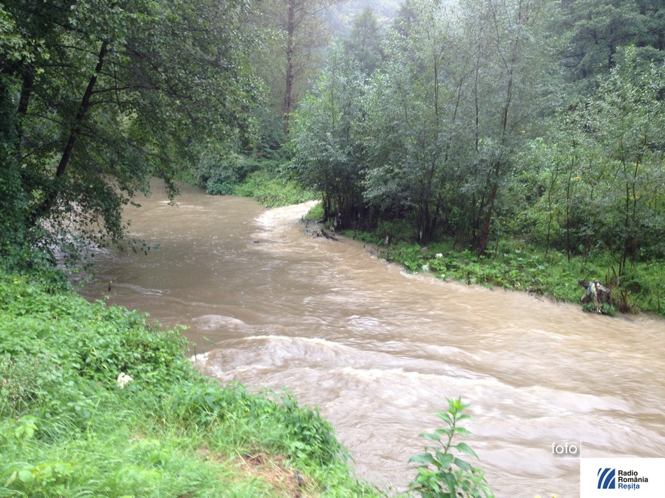 barzava intre resita si bocsa (2)