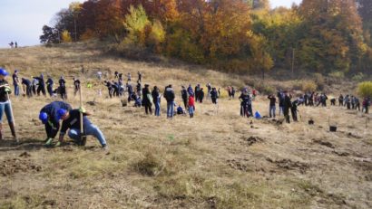 Campanie de împăduriri de toamnă în Caraş-Severin