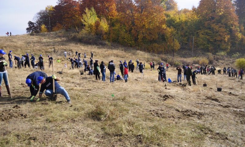 Campanie de împăduriri de toamnă în Caraş-Severin