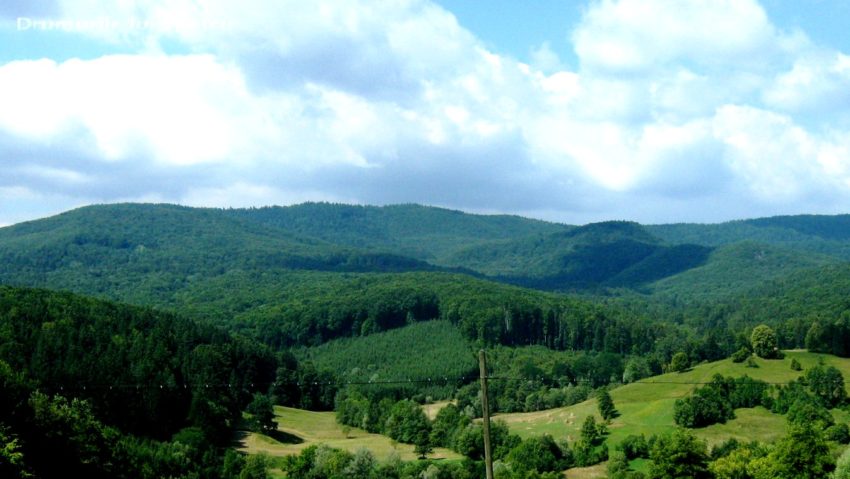 Salina Cacica, spaţiul sării şi al culturilor europene