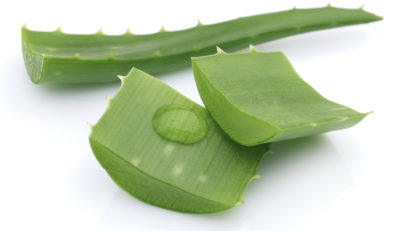 Aloe vera – între poveste și adevăr