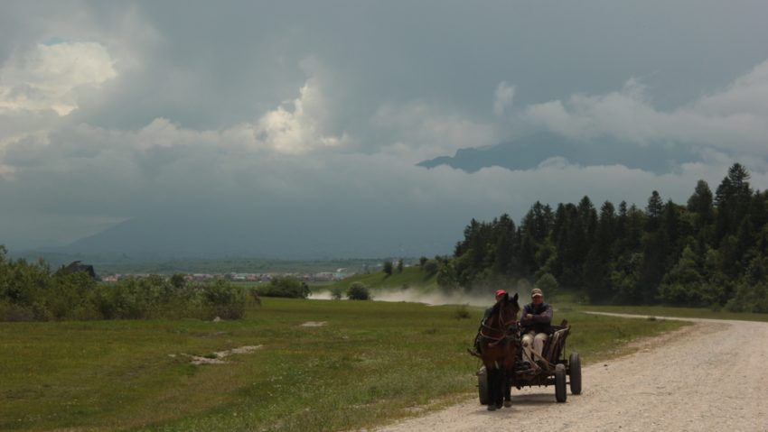 Copil mort după ce a fost târât zeci de metri de un cal