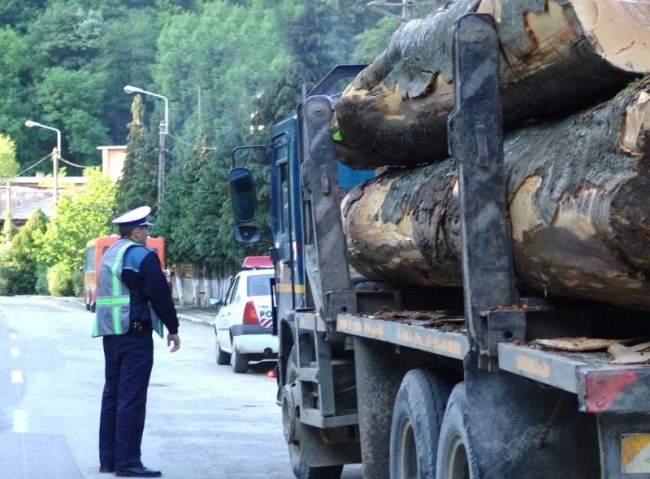 Restricțiile de tonaj blochează exploatarea lemnului în Caraș-Severin