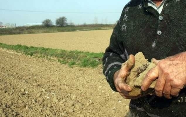 Agricultura românească ameninţată de seceta de toamnă