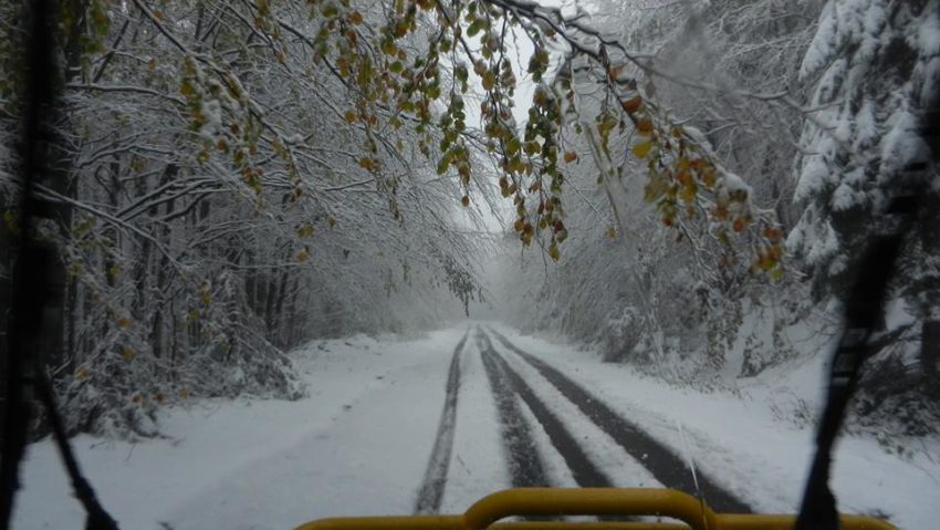 [FOTO] Ninge în Caraş-Severin