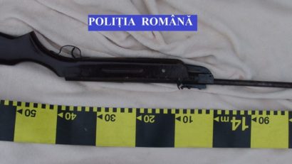 Cărăşanul acuzat de contrabandă cu arme a fost eliberat