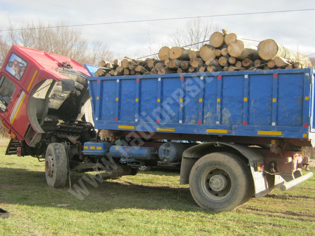 exploatare lemn driglovat (28)