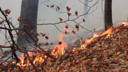 Masivul Şureanu în flăcări