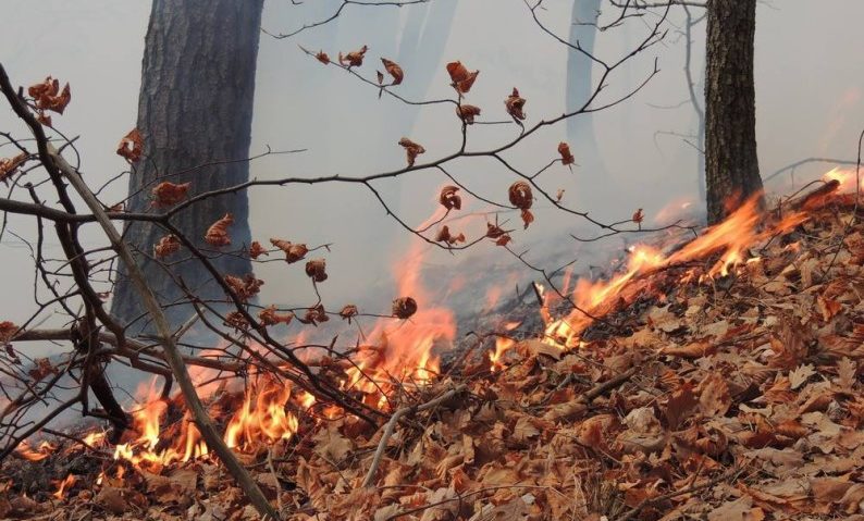 Masivul Şureanu în flăcări