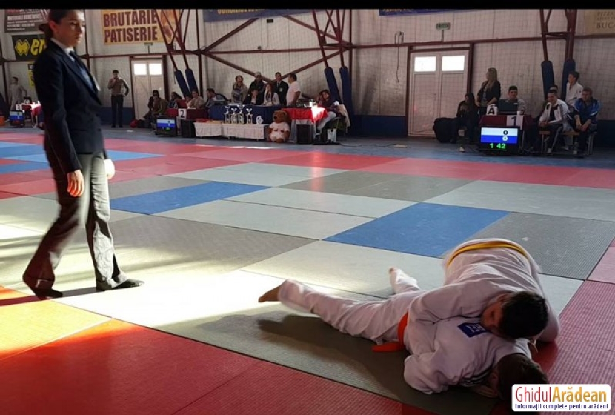 Cupa CSM Arad la judo editia 2014