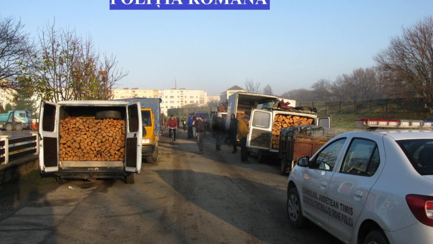 [FOTO] Comercianți de lemne, prinși „cu mâța în sac”