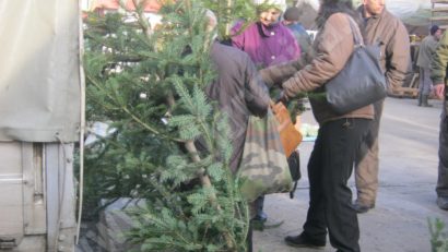 [FOTO] Ofertă bogată la pomii de Crăciun în Reşiţa