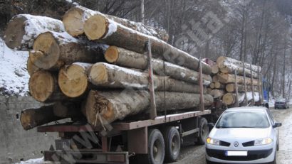 Lemne confiscate de poliție