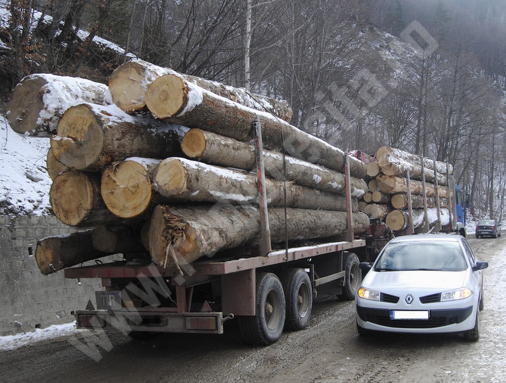 camion-lemne