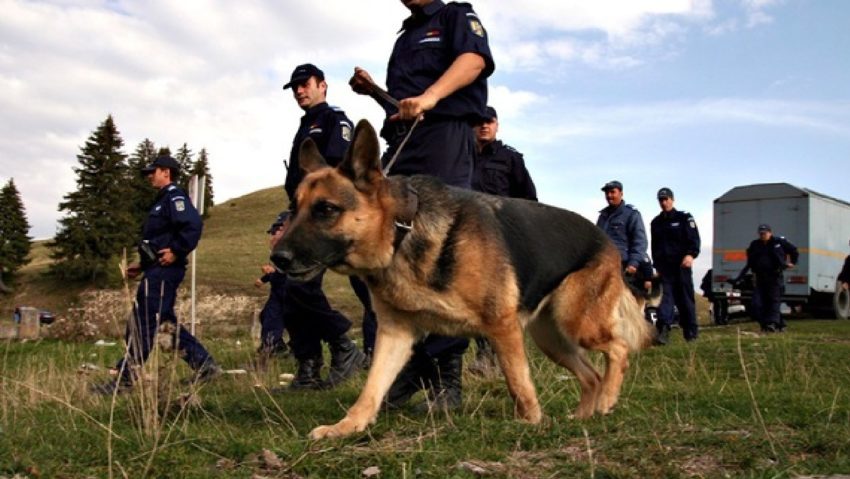 Mobilizare de forțe pentru găsirea unui copil de un an şi jumătate, dat dispărut