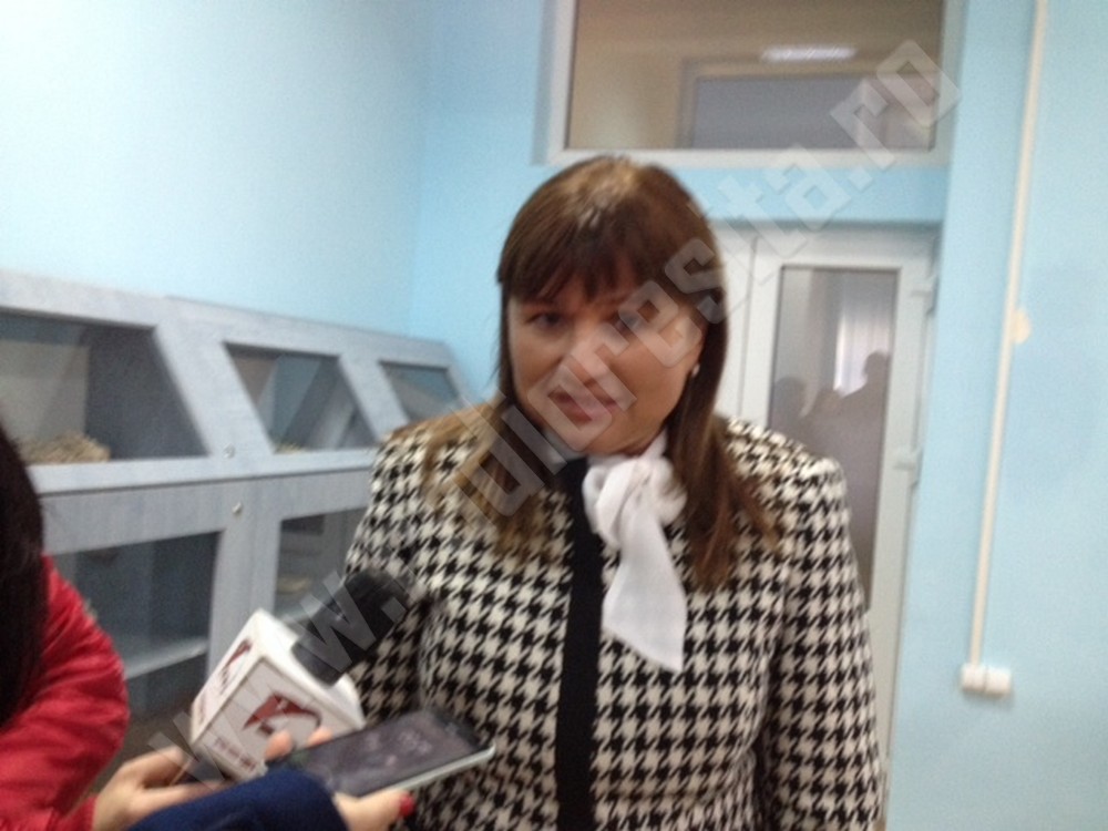doina frunzaverde