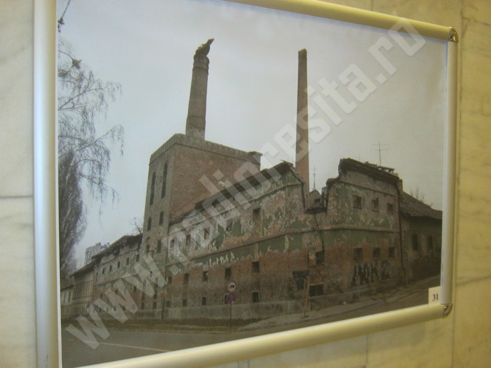 expozitie universitatea eftimie murgu resita (3)