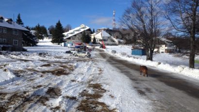 Drumuri deschise, dar în condiţii de iarnă