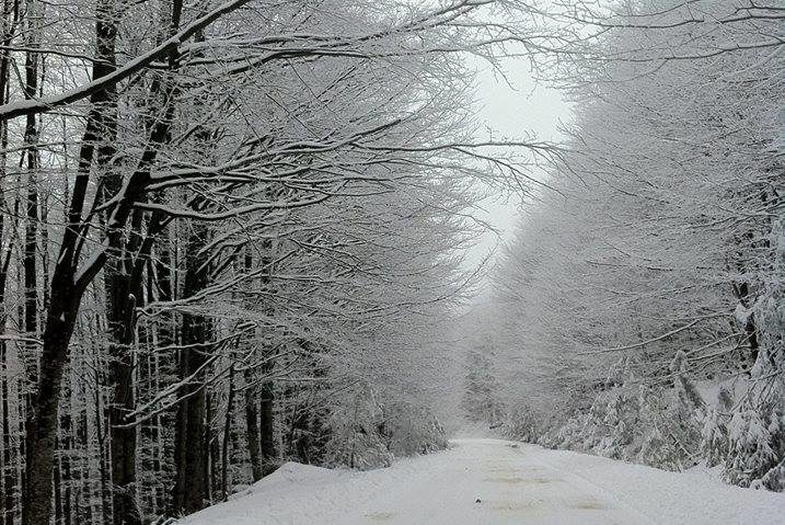 De astăzi, la schi, pe Semenic