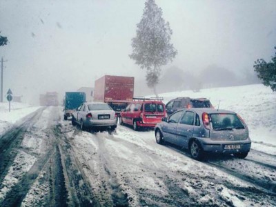 Zăpada şi vântul au afectat localităţile din Banat!