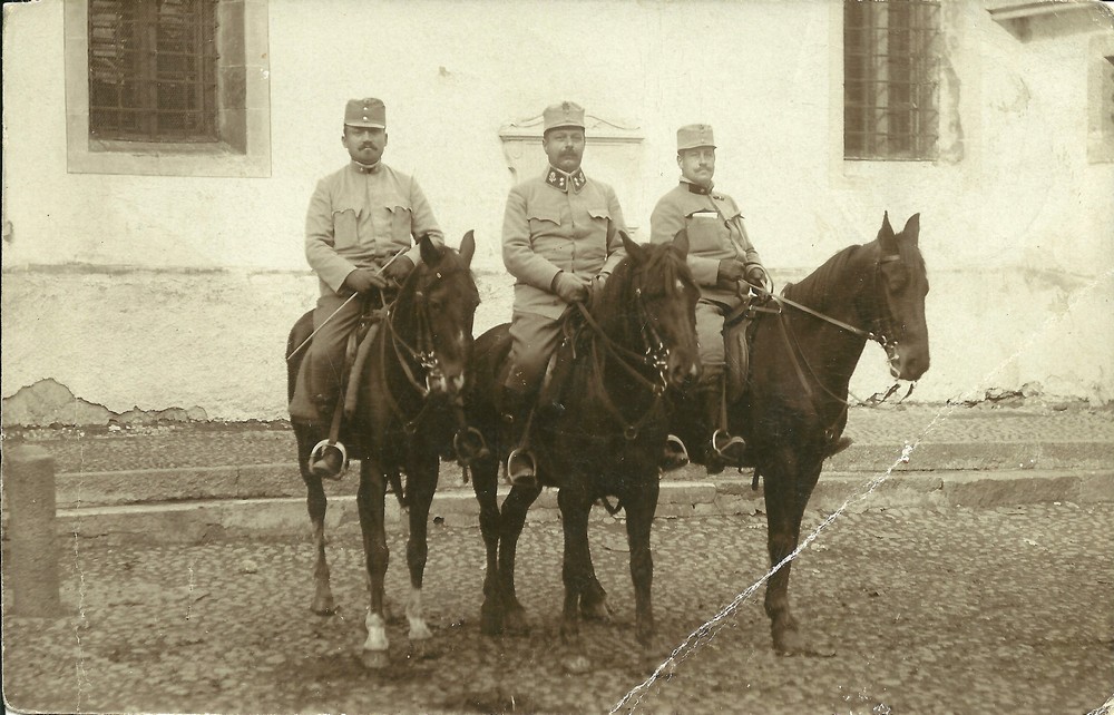 FP V Leu II 49