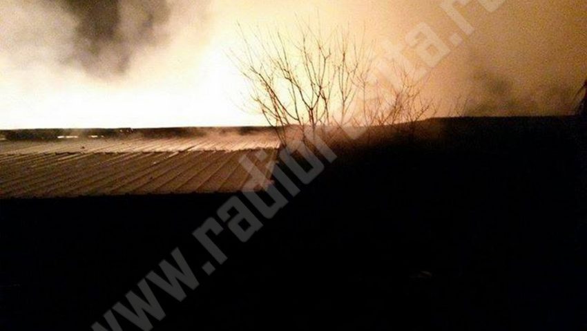 Petrecere incendiară la Poiana Mărului