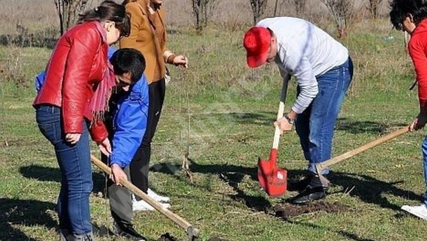 Atenţie, se plantează!