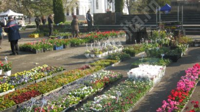 Parcul Tricolorului din Reşiţa a înflorit de la Târgul de Flori