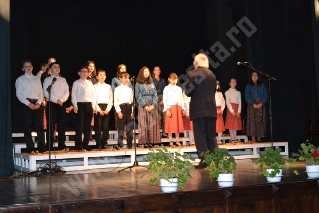 festival_timotei_popovici_2014