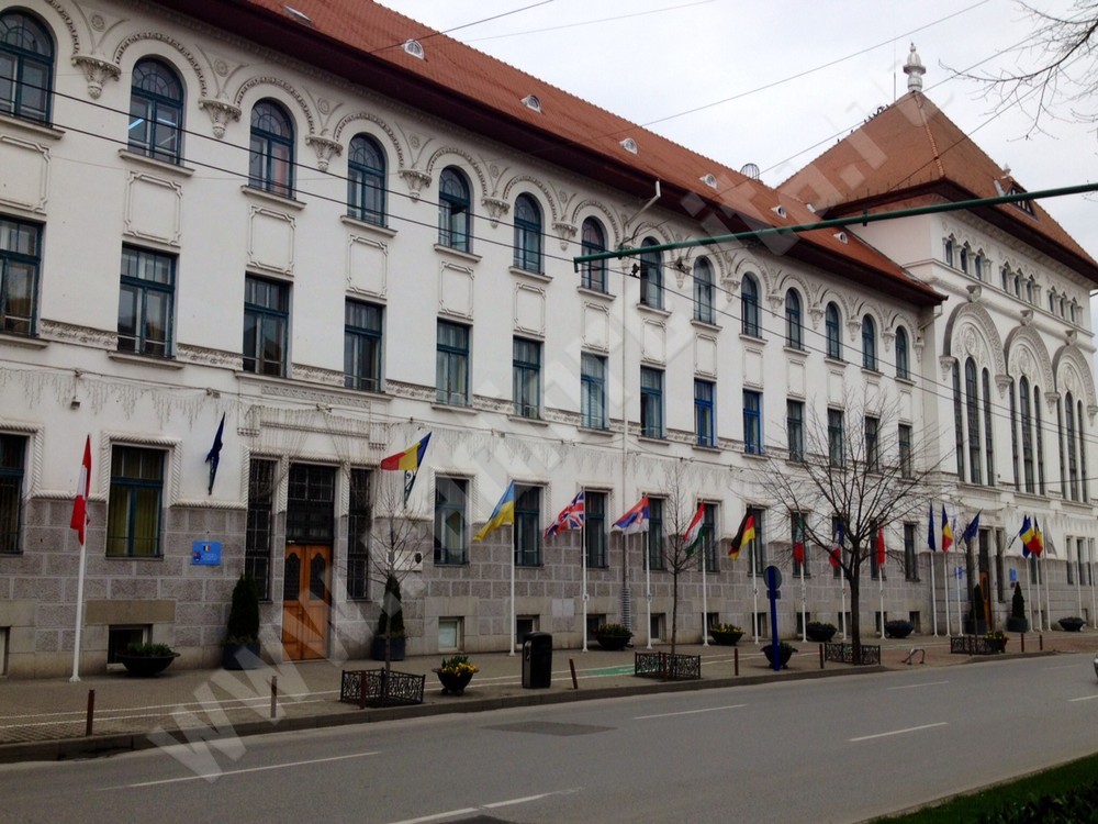 primaria timisoara (1)