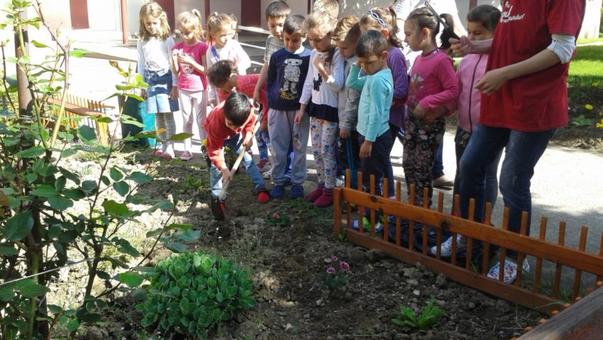 Micii grădinari sunt voluntari