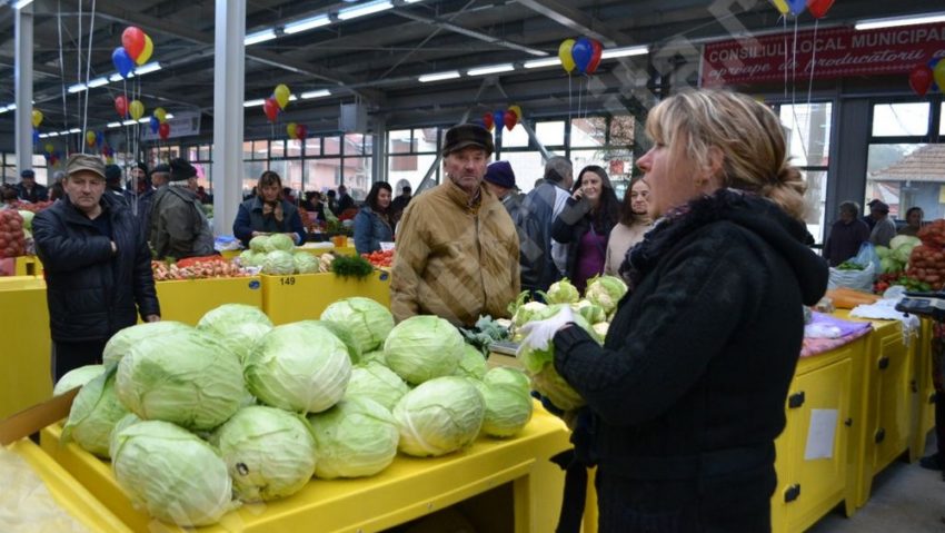 Muncă multă pentru… atestatele de producător