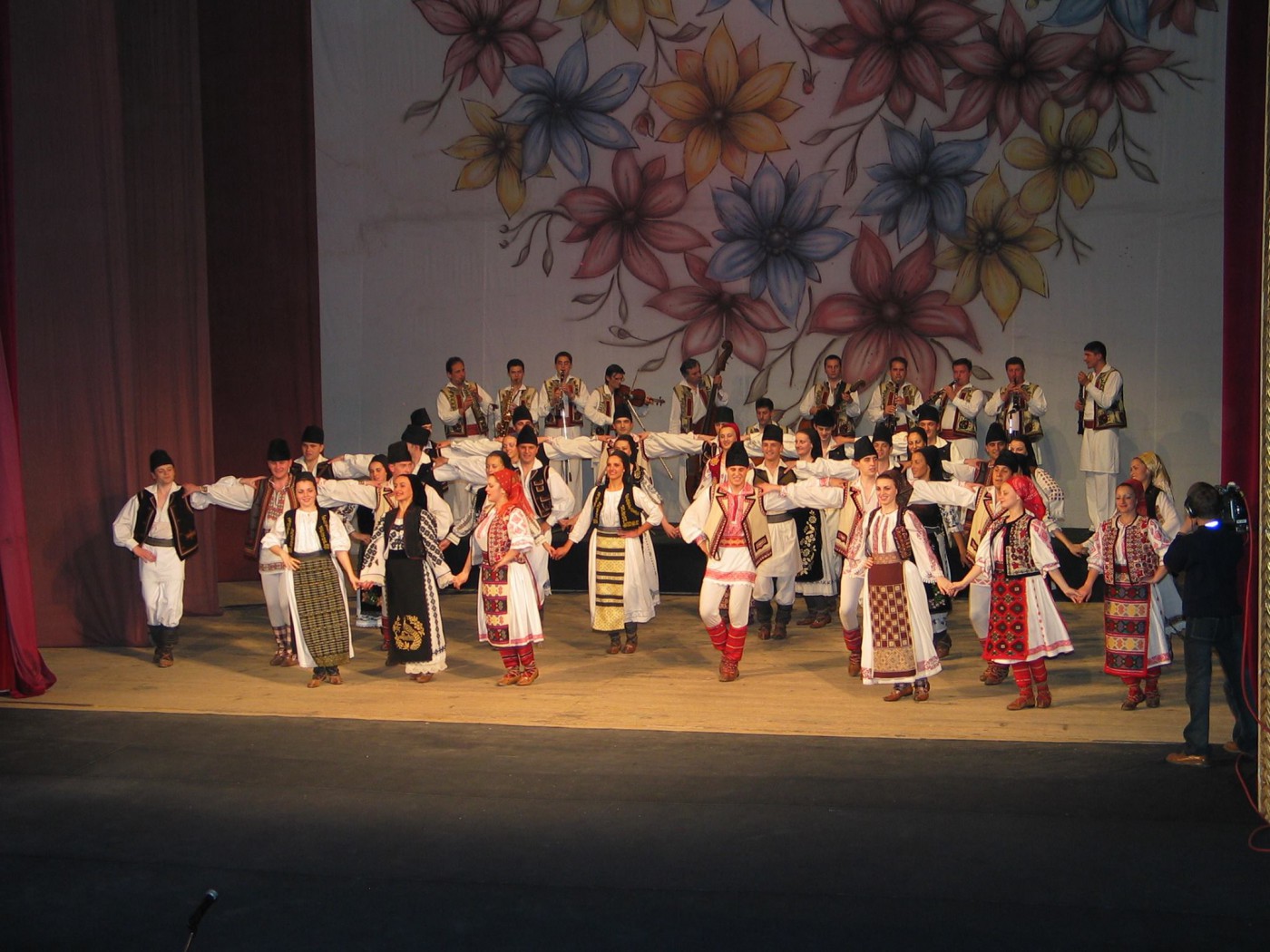 doina timisului