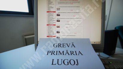 Angajaţii Primăriei Lugoj la miting în faţa Guvernului