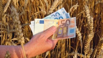 O companie timişană, pe locul doi la subvenţiile agricole