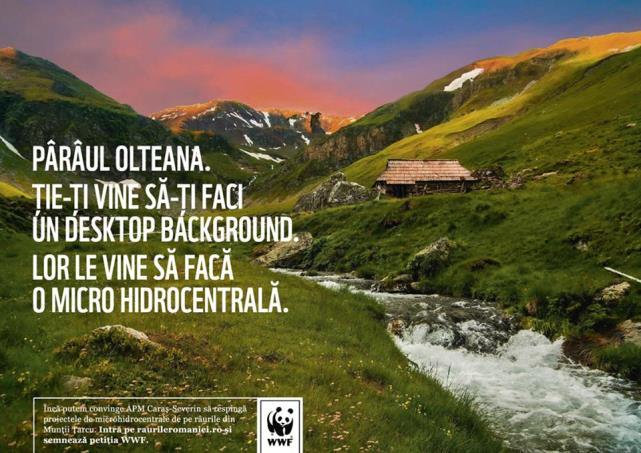 WWF România trage noi semnale: microhidrocentralele distrug râurile!