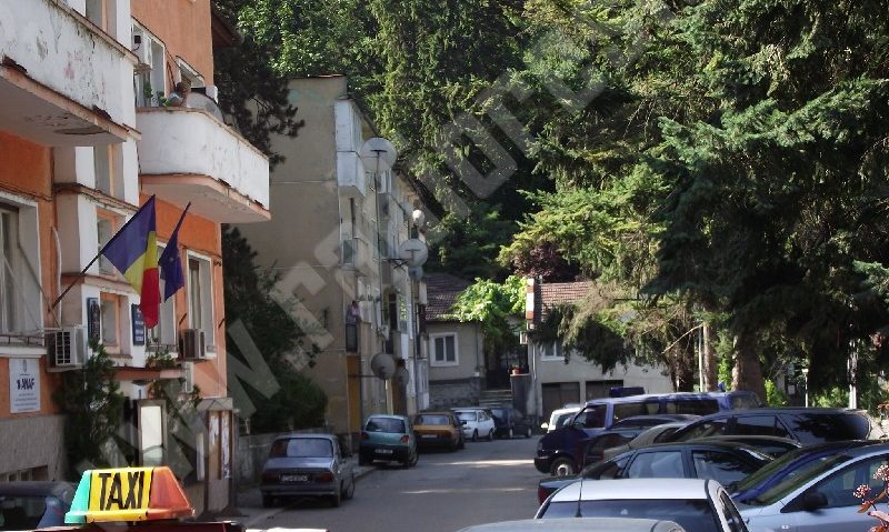 [FOTO] Aleşii locali din Băile Herculane, duşi la audieri