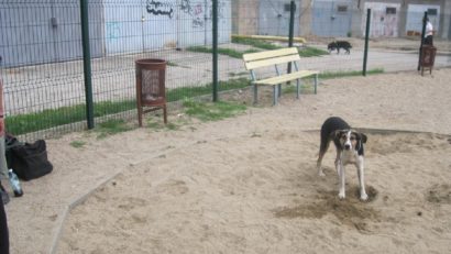 Poliţiştii locali relaţionează cu cetăţenii