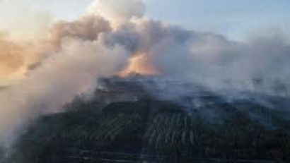 Alertă radioactivă la graniţa României, în urma incendiului de vegetaţie de la Cernobâl