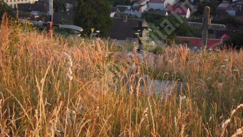 [FOTO] Neglijenţa autorităţilor „creşte” iarba-n cimitire