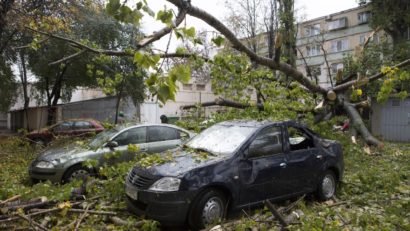 Vijelie cu urmări la Deva