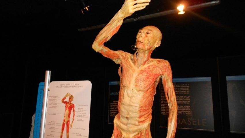 ( FOTO) Expoziţie de cadavre în parcarea unui centru comercial